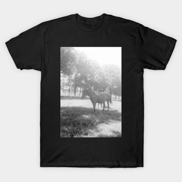 A Moment in Time T-Shirt by Jacquelie